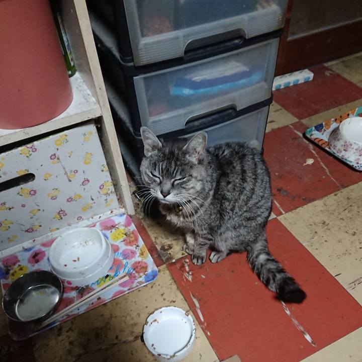 165363e7 a089 4738 ba77 43cf9ba3602a 1582832823962