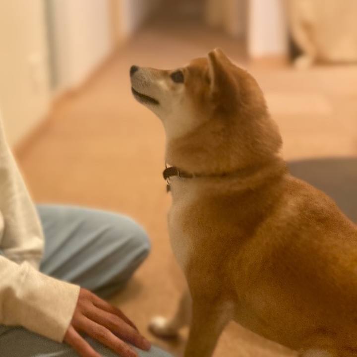 16539806 db75 4c1a bf4f 16d1f9b26c00 1652362626966