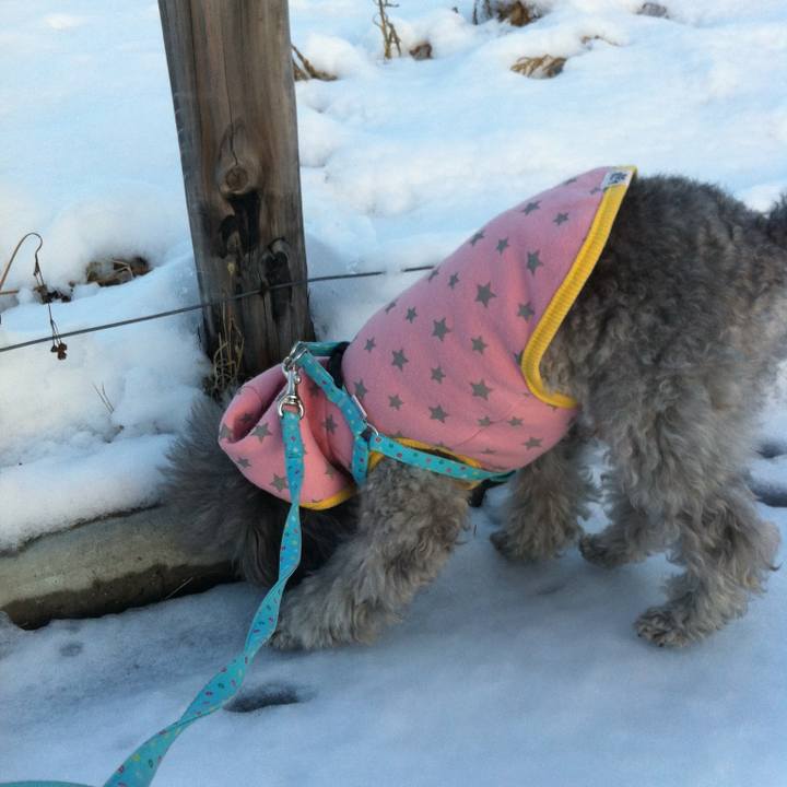 16539db3 93bc 4b86 8b87 c0035d36fe68 1766624735479