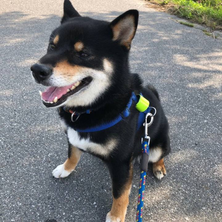 1653b853 52d4 4260 bedf 90e58cfee4fe 1561556424085