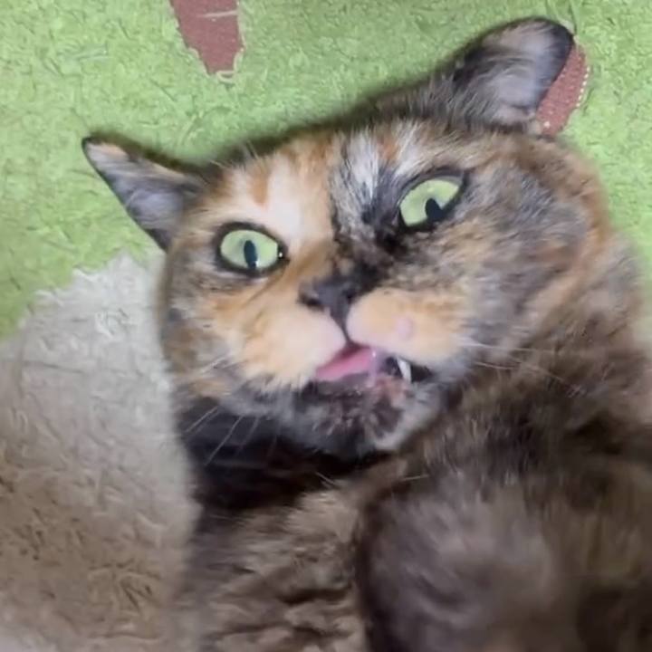 1653d9bd fabc 48f9 a967 0aa877555db3 1748635094323