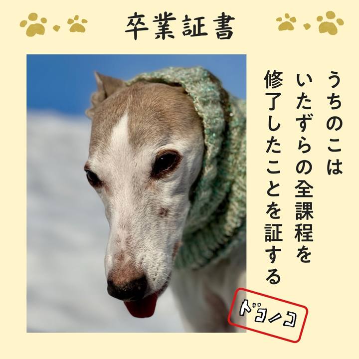 1653f005 2460 4df4 b08c 394ead595785 1772353403938