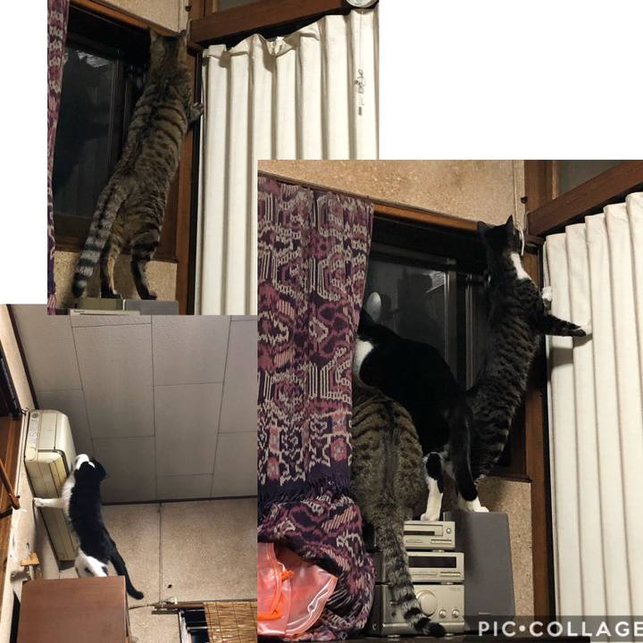 165400fa 92a6 4f98 9b6b 8ce3f09fb498 1571728858873