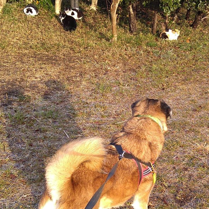 16540861 82a6 4a9a aab4 c14e9b3e3408 1549499819065