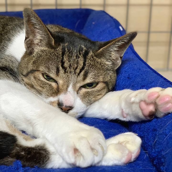 16541d1f af17 4c36 8067 78cc00d5b260 1590626387099