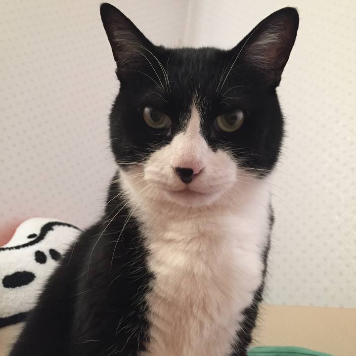 16543dfc 0617 4ecb bdb2 86ecf512dd80 1527947150909