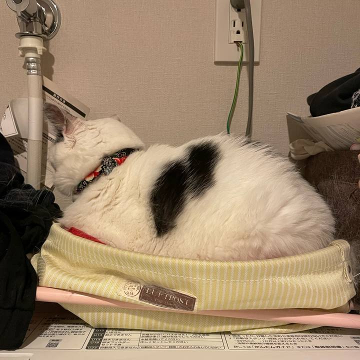 1654567d 4564 4ed8 a0e2 28f871a83af7 1693144018748