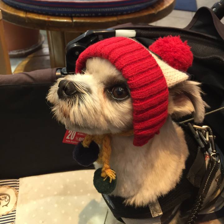 16546739 0568 4d20 aeee f8c20ac629b2 1540796426234