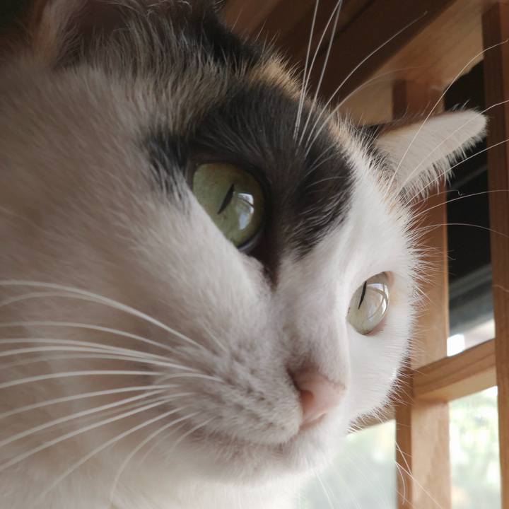 16546b9b f267 4008 9d38 a32115645ca3 1544238416216