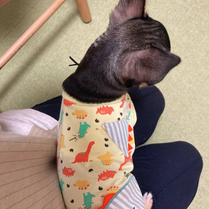 165498e7 ad24 4595 b79d 7014b14ec3a9 1720248091674