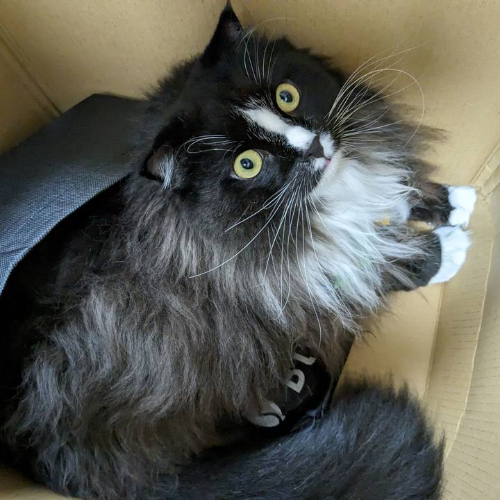 1654a068 f337 4659 8a3a 9bb26dfc65f4 1696769177514