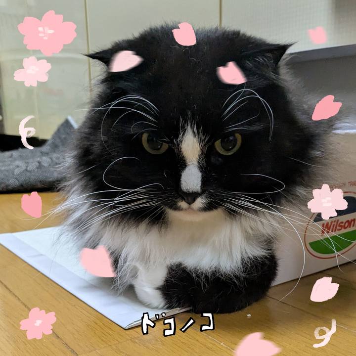 1654c8f6 695f 4828 b156 df3ed6621b3e 1744546092146