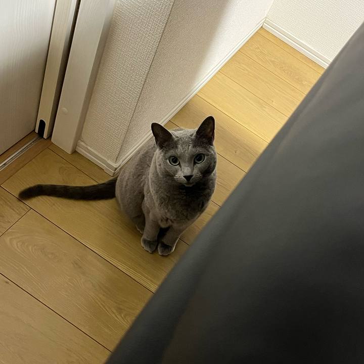 1654de6e 128c 43b8 8024 caa71a0b058b 1774686259094