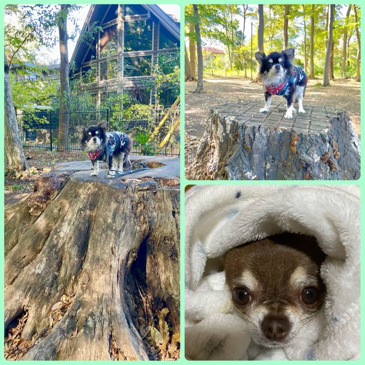 16551af9 8c3c 4307 abc9 6c16f68712b2 1700467677495