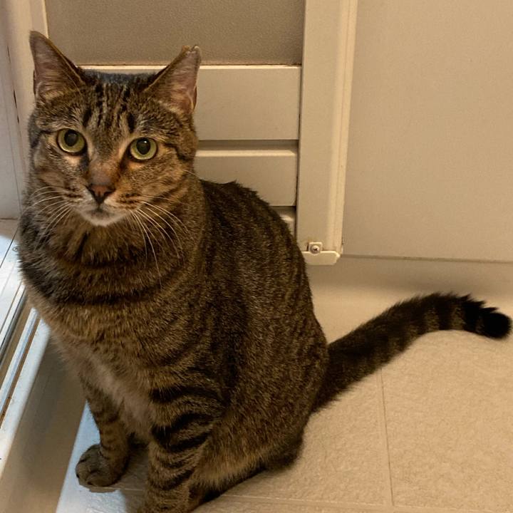 16551fe8 e245 457c a963 b7839f817fe7 1624861874371