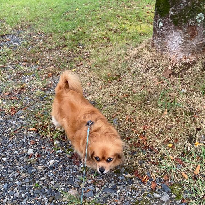 1655505d e497 4354 97fb 9d2f5d2f4edf 1599428219910