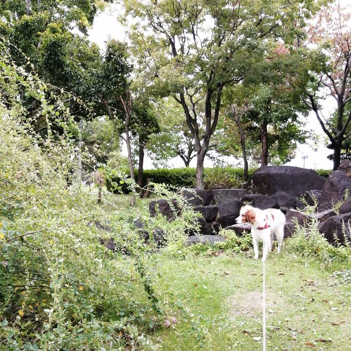 16555e6d 8357 432a 96f7 b7f4aedc1999 1602322154967