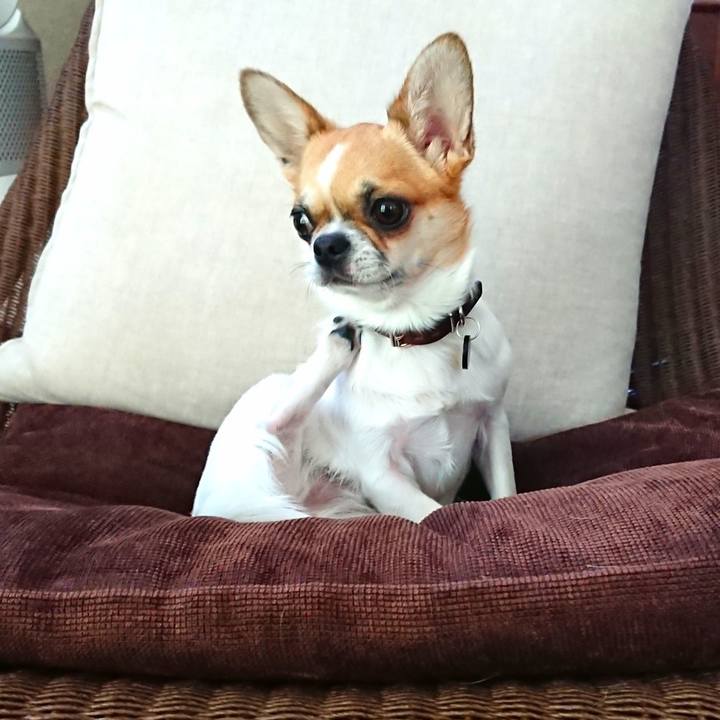 16556c91 9219 47f4 a284 e0dd35a7e000 1559348544441