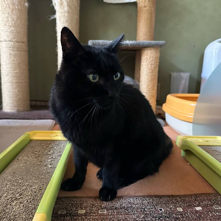 16559c91 32ab 4cea 9624 691b61f16f7a 1701135519452