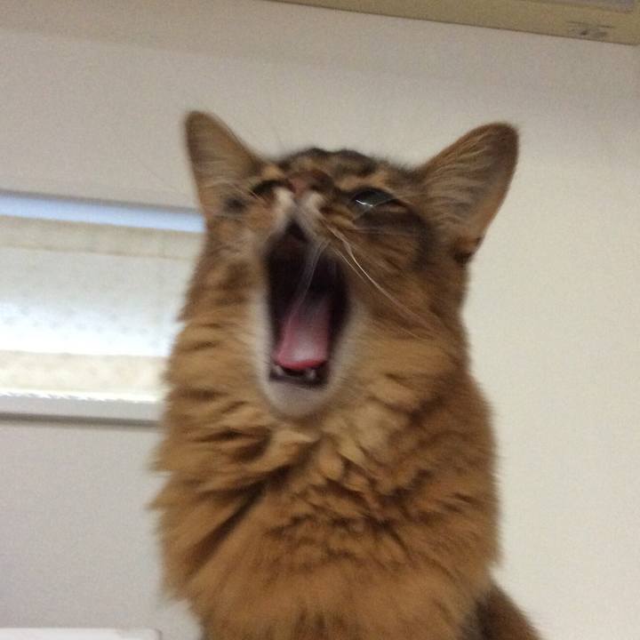 1655a84e d54d 4735 aef8 619009bbd45c 1622766958421