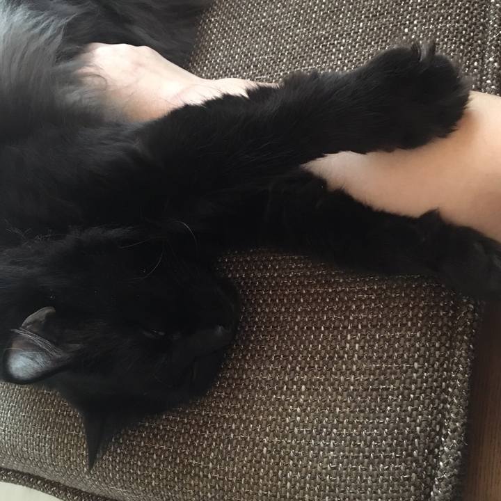 1655d3e4 d42f 44a0 8ffd 69fb89056931 1512006751044