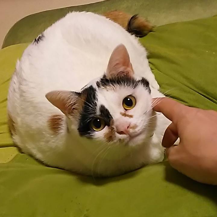 16560fa3 ae84 48c8 8198 afbca59263e2 1626997071776