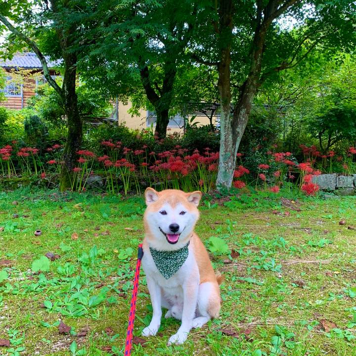 16565029 79d4 4512 9d45 6e82de6def01 1695466883627