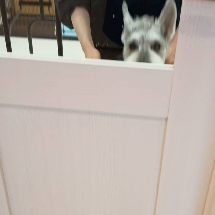 165654dc 86fa 4a3c bd0a 656c2733eb3d 1774506267033