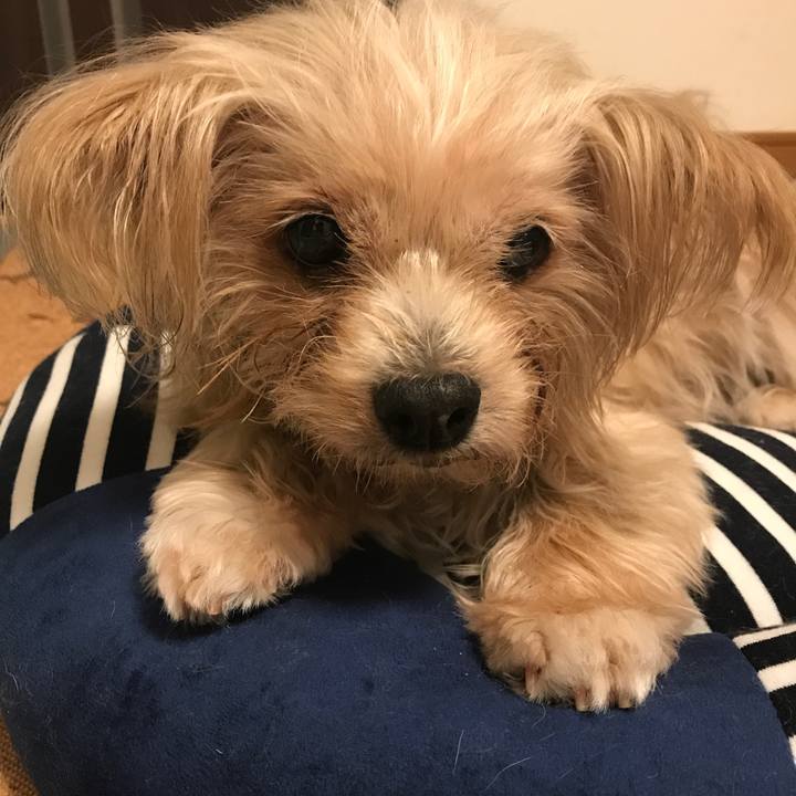 16567c1d 0383 45af ac66 7babdb5715ff 1535993892800