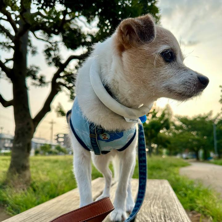 16567fc3 502a 415c a792 831a3d7be845 1755816903910