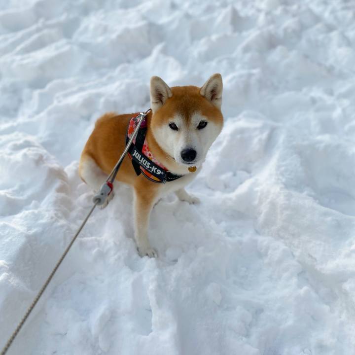 16568748 9e80 458f a9c4 0d123545e893 1640395608645