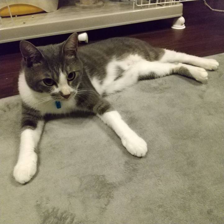 1656c9b3 3111 4709 abc6 5f9e8be9f884 1597585593052