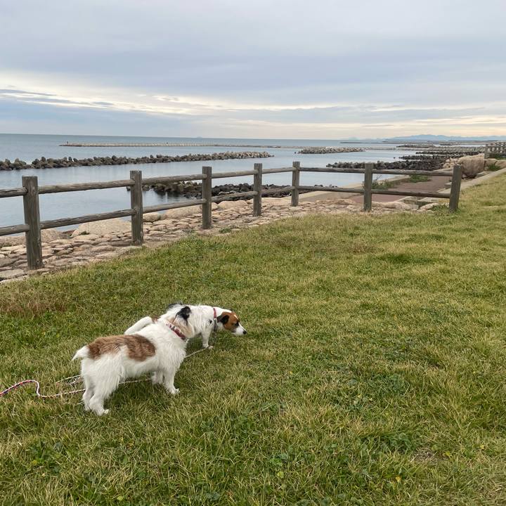 1656cc2d 354e 4b99 8016 d35d08bb7b0a 1729553873327