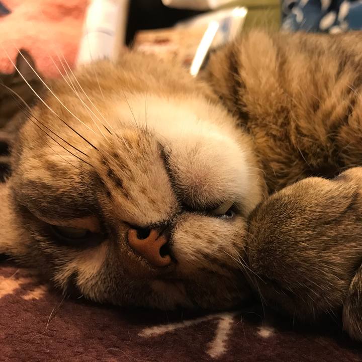 1657003d e21d 40ba a3f3 c4702bea7241 1559215787963