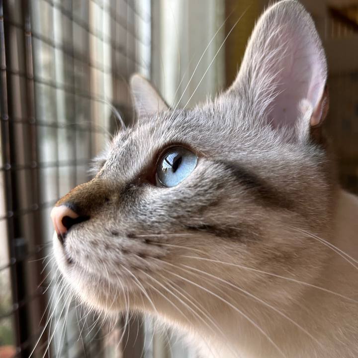 16570df4 e166 46f7 af2e ab468b130666 1751060578389