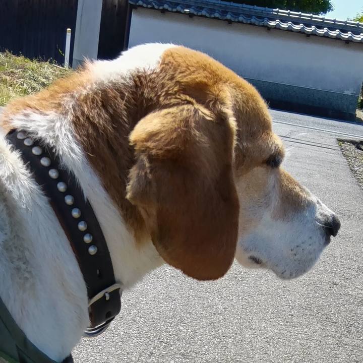 16572279 4794 4a38 a657 56090331f734 1718086386075