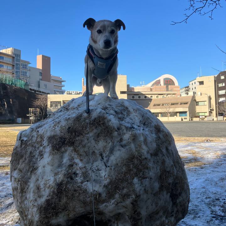 16574bfb abbd 4cde a619 f37388c60fc5 1770680970881