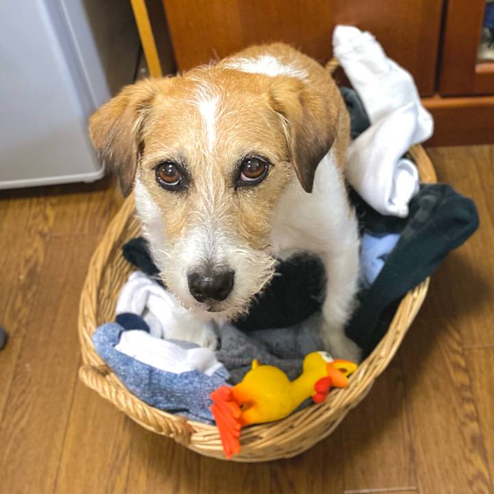 1657760e 2611 4dd7 ace9 05342aaa6259 1686833339962