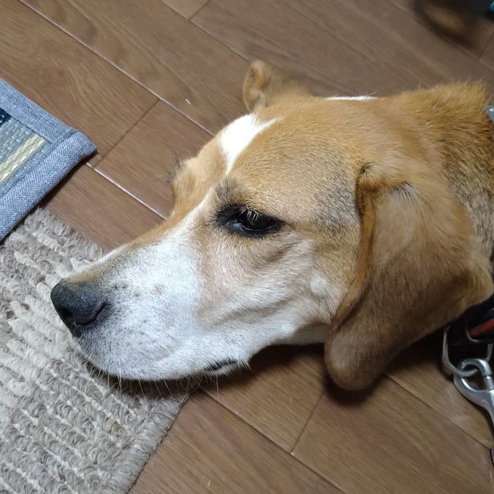 1657a321 1daf 4955 bf06 490f88a3aaa1 1658983519319