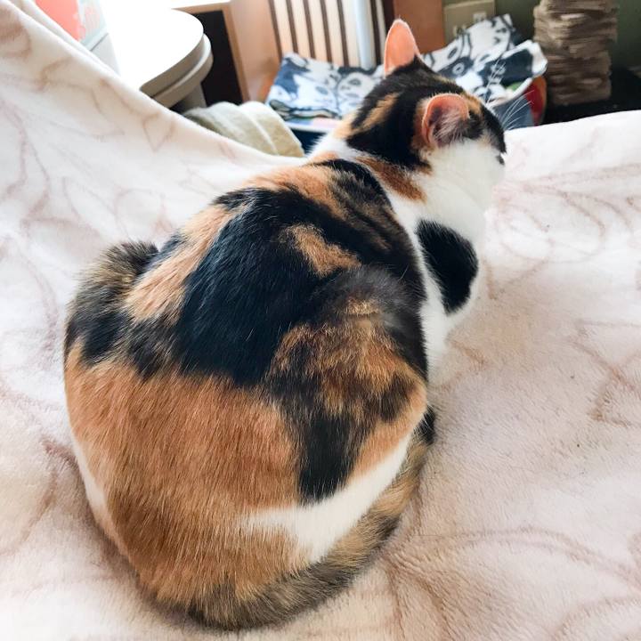 1657f856 522b 425e 8f6c 190b27df0ddf 1525353480850