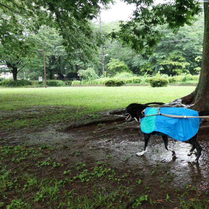 1657fc1d 7159 45bc 970d 936cdbbb3c85 1719102384841