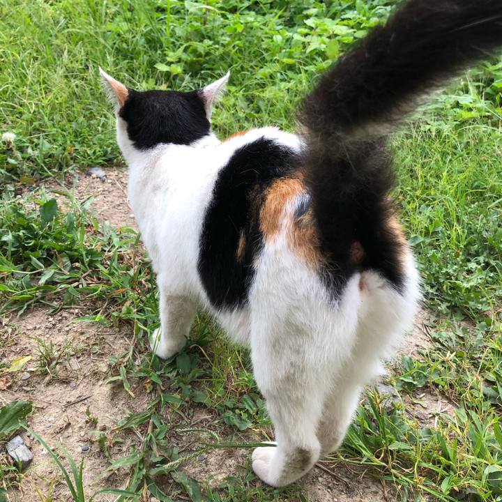 1657fd88 65ca 4227 ab28 cbd33349b58e 1599085465278