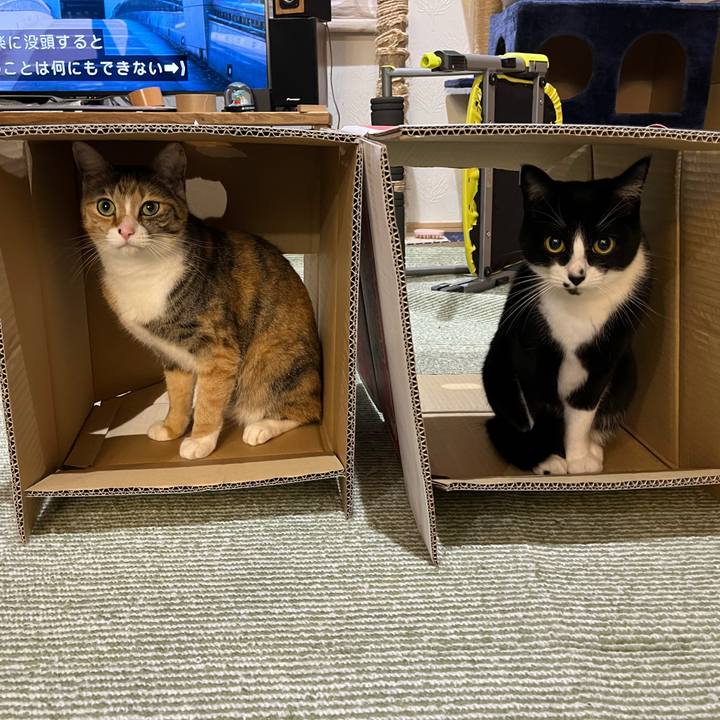 165818da 59cb 48b7 b6de 02cfcdbd7fe7 1707134708406