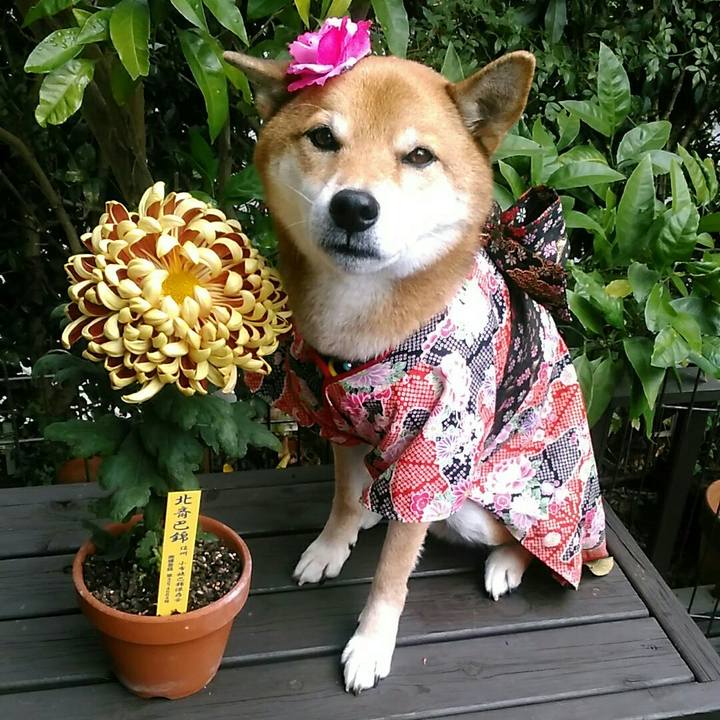 16582089 f4d4 4d46 93ea 93390eabefcd 1574647991721