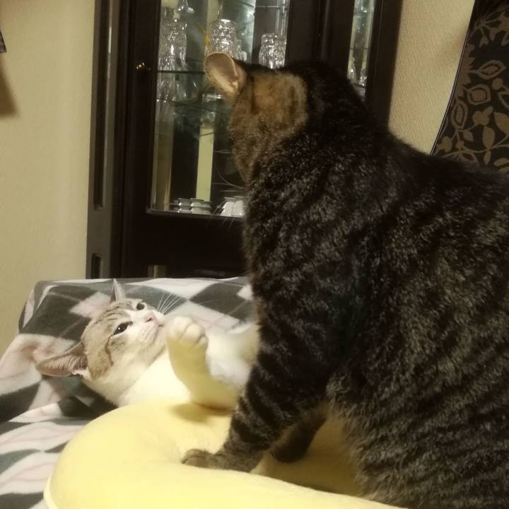 16583d45 2bb7 4529 8c84 63c9cb1ef12a 1535796848033