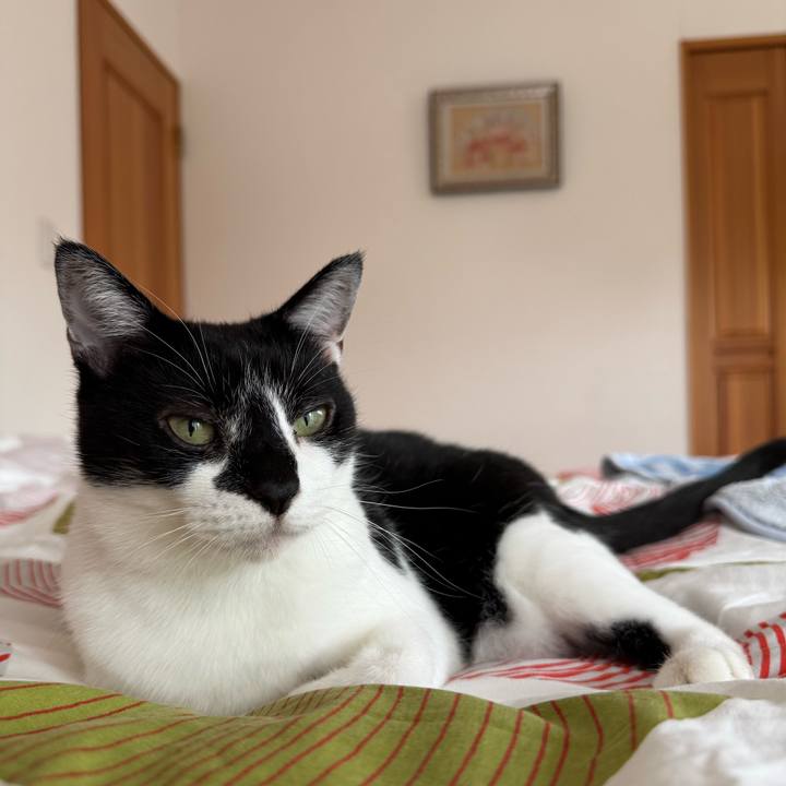 16584d3b 8434 45c2 8abc e515f2cbdd92 1759541231574