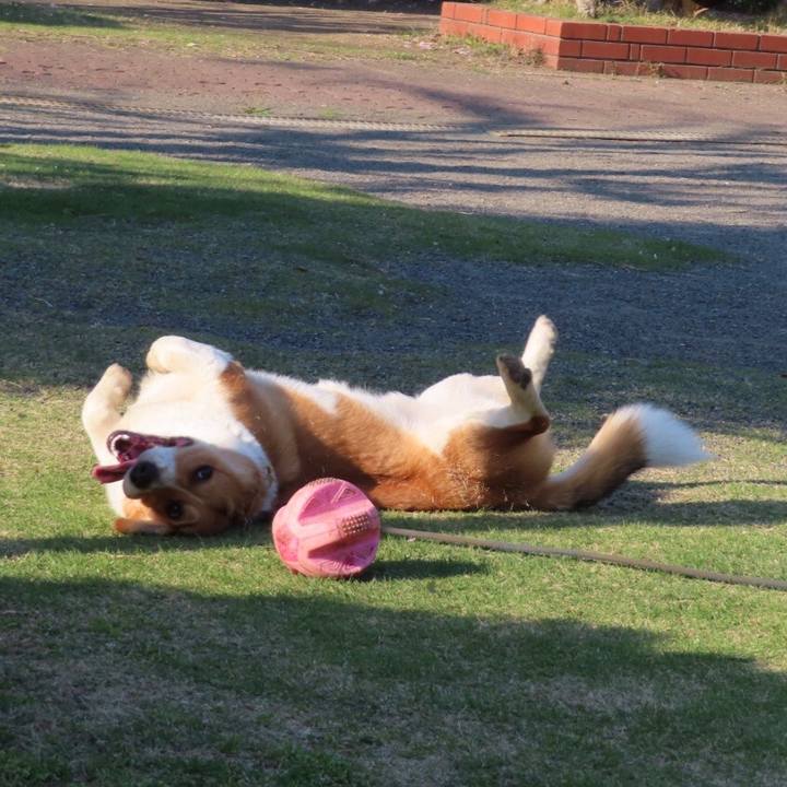 1658b56d 2cc1 4aeb b10c 027d602b52ba 1618104984113