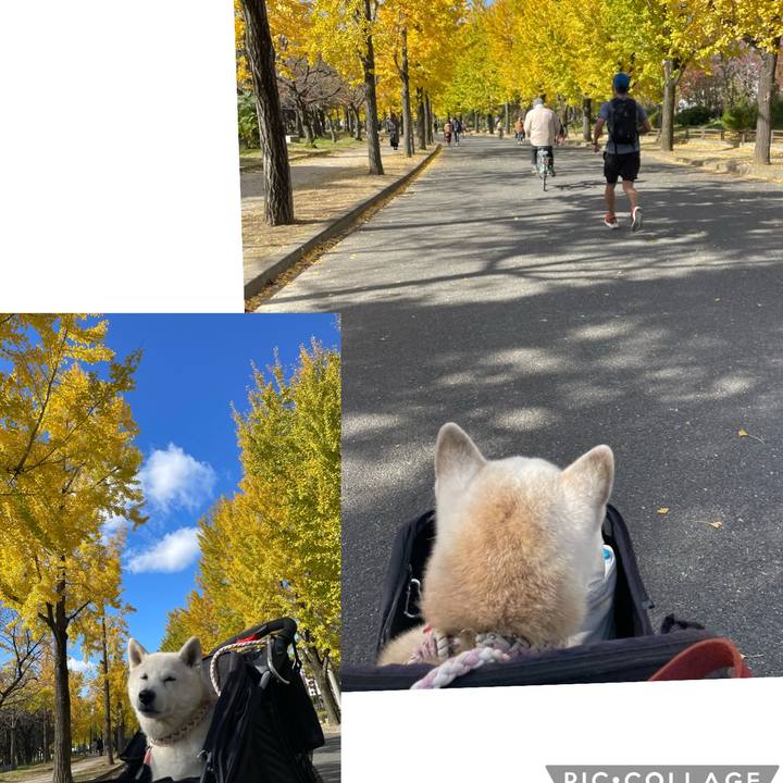 1658b5cf 520a 4f52 9e21 f3fdb4e79934 1701085723210