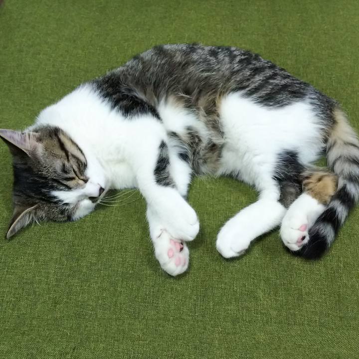 1658de5c 2a80 4404 b183 1184b98e8663 1615118151251