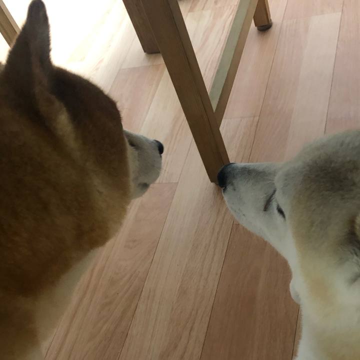 1658ee19 c9fc 4527 80a7 e07ac21edd72 1564698725530